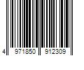 Barcode Image for UPC code 4971850912309