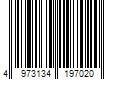 Barcode Image for UPC code 4973134197020