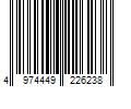 Barcode Image for UPC code 4974449226238