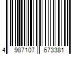 Barcode Image for UPC code 4987107673381