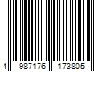 Barcode Image for UPC code 4987176173805