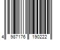 Barcode Image for UPC code 4987176190222