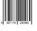 Barcode Image for UPC code 4987176290960