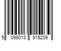 Barcode Image for UPC code 5099013915239