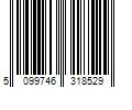 Barcode Image for UPC code 5099746318529