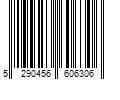 Barcode Image for UPC code 5290456606306