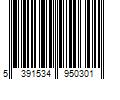 Barcode Image for UPC code 5391534950301