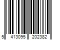 Barcode Image for UPC code 5413095202382