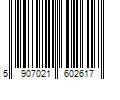 Barcode Image for UPC code 5907021602617