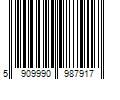 Barcode Image for UPC code 5909990987917