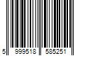 Barcode Image for UPC code 5999518585251