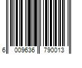 Barcode Image for UPC code 6009636790013