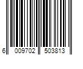 Barcode Image for UPC code 6009702503813