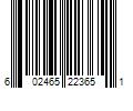 Barcode Image for UPC code 602465223651