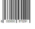 Barcode Image for UPC code 6033000570291