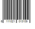 Barcode Image for UPC code 6111021013109