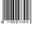 Barcode Image for UPC code 6111269473918