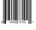 Barcode Image for UPC code 613008731021