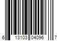 Barcode Image for UPC code 613103040967