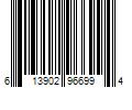 Barcode Image for UPC code 613902966994