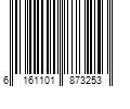 Barcode Image for UPC code 6161101873253