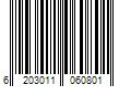 Barcode Image for UPC code 6203011060801