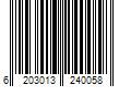 Barcode Image for UPC code 6203013240058