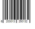 Barcode Image for UPC code 6203013250132