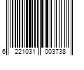 Barcode Image for UPC code 6221031003738