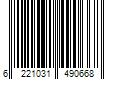 Barcode Image for UPC code 6221031490668