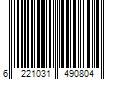 Barcode Image for UPC code 6221031490804