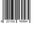 Barcode Image for UPC code 6221032160584