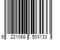 Barcode Image for UPC code 6221068503133. Product Name: 