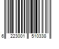 Barcode Image for UPC code 6223001510338