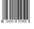 Barcode Image for UPC code 6223001512509