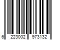 Barcode Image for UPC code 6223002973132