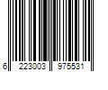 Barcode Image for UPC code 6223003975531