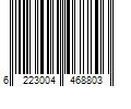 Barcode Image for UPC code 6223004468803