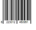 Barcode Image for UPC code 6223012450951