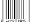 Barcode Image for UPC code 6224010528673