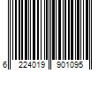 Barcode Image for UPC code 6224019901095