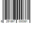 Barcode Image for UPC code 6251897000381