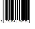 Barcode Image for UPC code 6251934005225