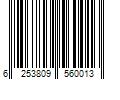 Barcode Image for UPC code 6253809560013