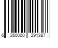 Barcode Image for UPC code 6260000291387