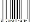 Barcode Image for UPC code 6281006408739