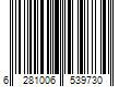 Barcode Image for UPC code 6281006539730