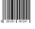 Barcode Image for UPC code 6281031091241