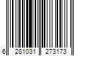 Barcode Image for UPC code 6281031273173