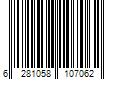 Barcode Image for UPC code 6281058107062